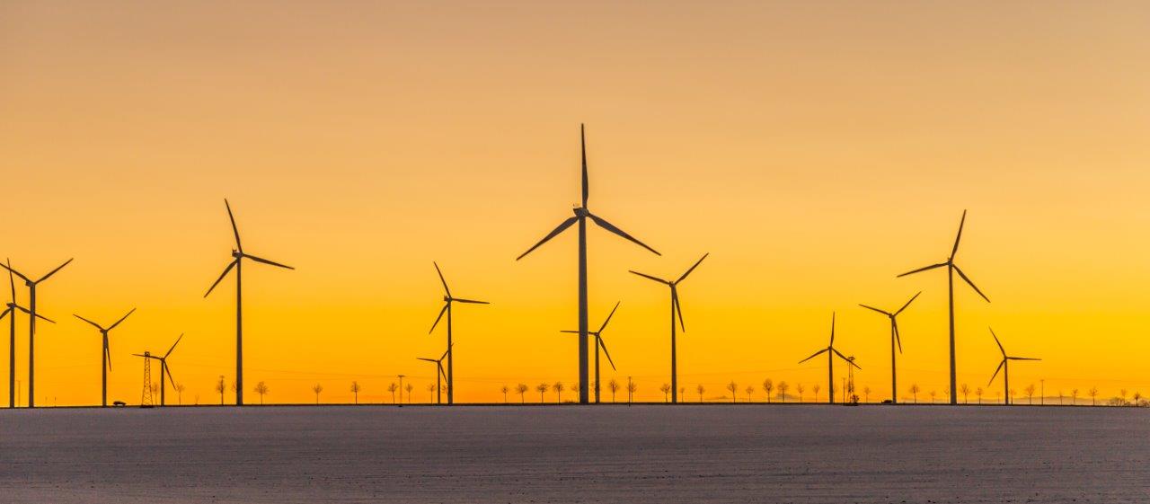 Case Study - BP Vested